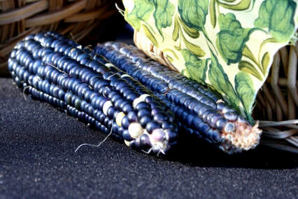 blue corn Picture